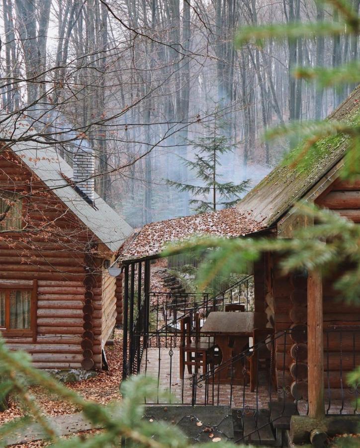 Hotel шиповець 3*
